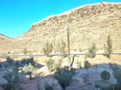 a mountain with a bunch of trees in the desert at Stylish Marrakech getaway in Marrakech