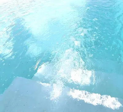 a dolphin is swimming in the water at Stylish Marrakech getaway in Marrakech
