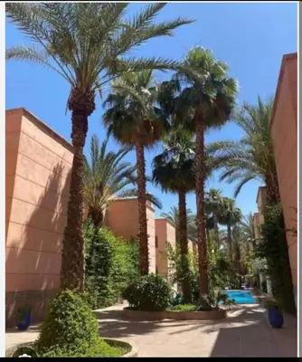 a group of palm trees in front of a building at Chambre individuelle in Marrakech