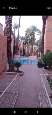 a view of a swimming pool with palm trees at Chambre individuelle in Marrakech