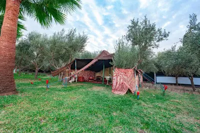 a tent in a field next to a palm tree at Tente berbère in Marrakech