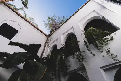a white church with two windows and a plant at Riad El Ayadi, Moorish villa in Marrakech