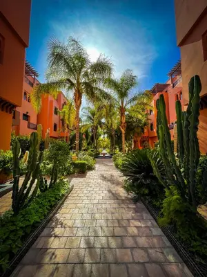 a pathway with palm trees and plants in a courtyard at Stunning Patios & Gardens Apartment in Marrakech