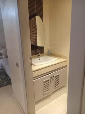 a bathroom with a sink and a mirror at Résidence SOFIA PALMERAIE in Marrakech
