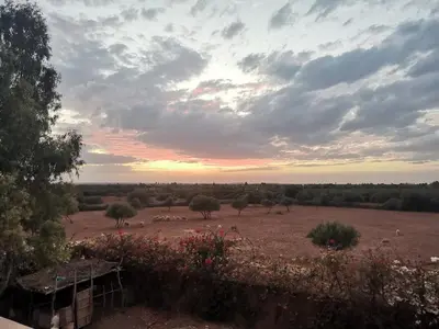 a field with animals in a field with a sunset at Villa Zaina in Marrakech
