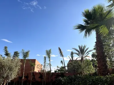 a group of palm trees in front of a building at Villa Sissi Marrakech in El Rhechat