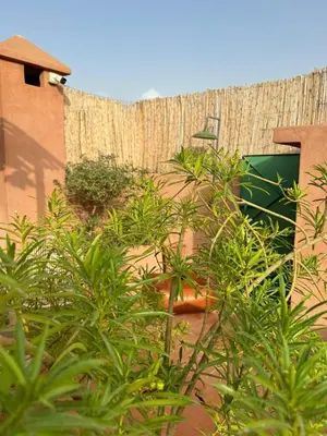 a fence with plants in front of a building at Riad Les 3J in Marrakech