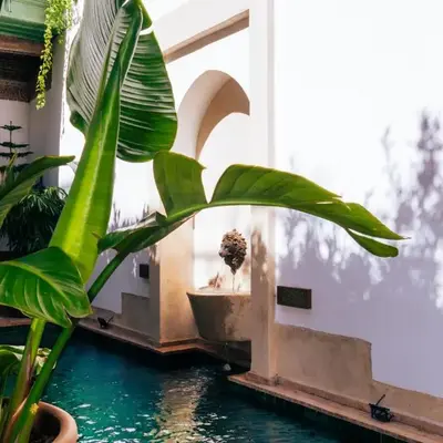 Riad Dar Dounia