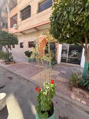 a plant in a pot in front of a building at Appartement Spacieux A Majorelle in Marrakech