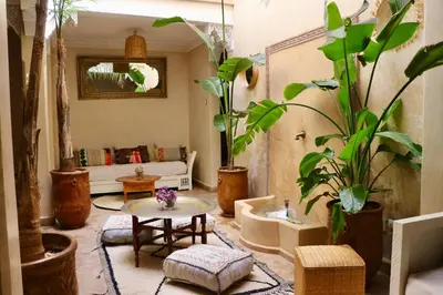 a living room filled with lots of plants at Riad Chez moi in Marrakech