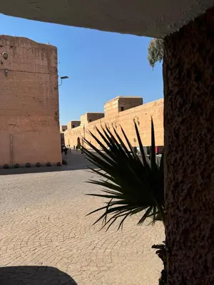 a palm tree in front of a building at Maison au cœur de Marrakech in Marrakech