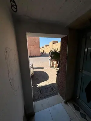 an open door to a building with two cats in a doorway at Maison au cœur de Marrakech in Marrakech