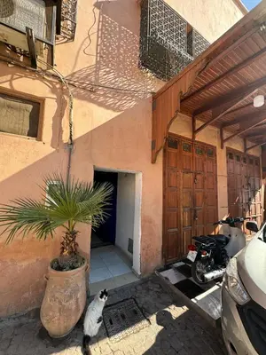 a cat sitting next to a house with a potted plant at Maison au cœur de Marrakech in Marrakech