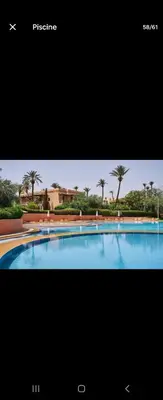 a large blue swimming pool with palm trees in the background at Marrakech Palmeraie 2 appartement 3 ch 7 pers résidence avec piscine in Marrakech
