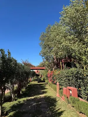 a path with trees and bushes and a blue sky at Zellige Suite - Gouvernante et piscine ! in Marrakech