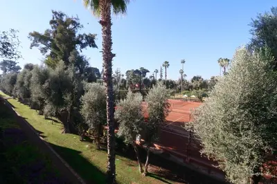 a tennis court with a palm tree and a tennis court at Dar Jena, Rare Riad in Medina on Mamounia in Marrakech