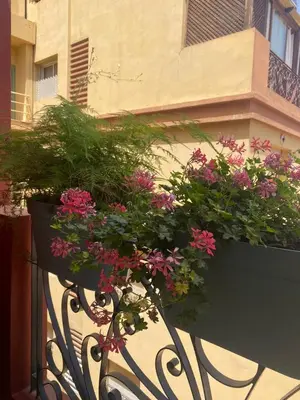 a planter with pink flowers on a balcony at Appartement luxe in Marrakech