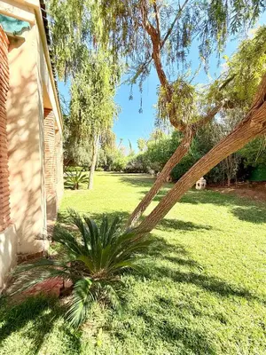 a palm tree in a yard next to a house at VILLA 34 - 4 Masters, Moroccan Charm & Modern Comfort with Private Pool in Marrakech