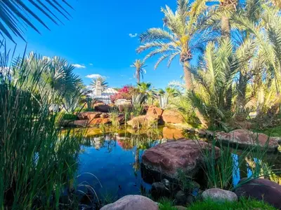 a garden with palm trees and a pond at Eden Lodges & SPA-Boutique Hôtel de Luxe in Marrakech