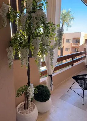 two trees in pots on a balcony with flowers at Prestige cocon in Marrakech