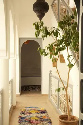 a tree in a room with a hallway with a rug at Riad Dar Wildeve in Marrakech