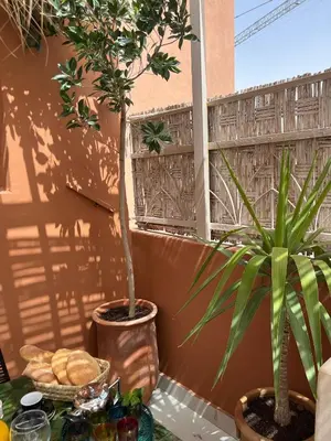 a table with bread and a potted tree on a balcony at Maison 3 chambre avec bassin chauffée centre ville Gueliz in Marrakech