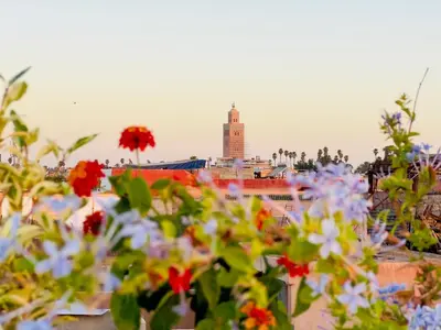 a group of flowers with a city in the background at Riad Kaya in Marrakech