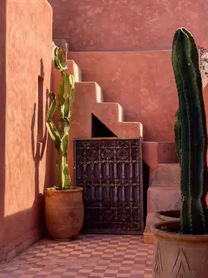 a stairway with a cactus at SAMA DABACHI Vibrant Medina Loft and Roof top in Marrakech