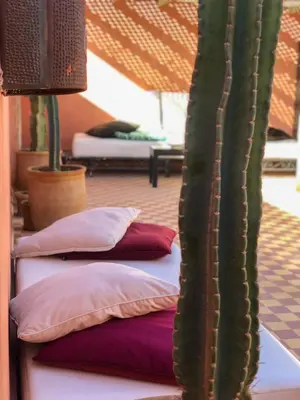 a cactus sitting next to two pillows on a bed at SAMA DABACHI Vibrant Medina Loft and Roof top in Marrakech