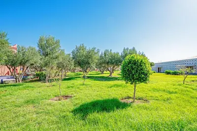 a group of trees in a field of grass at Luxurious Apartment in Marrakech in Dar Caïd Layadi