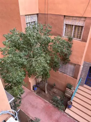 a building with a tree in front of a building at Le nid zen in Marrakech