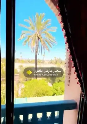 a palm tree is seen through a window at Appartement La Palmeraie in Marrakech
