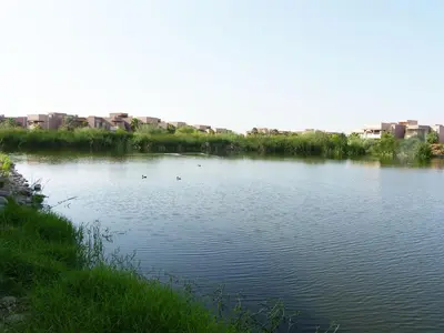 a river with ducks swimming in the water at Timeless Villa at Golf course with private pool in Marrakech