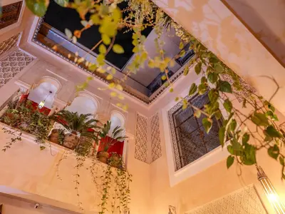 a room with potted plants on a wall with windows at Riad MAYAN Heated Pool and GYM in Marrakech