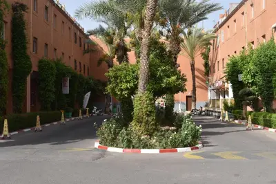 a palm tree in the middle of a street at Riad Zaitone 135 in Marrakech