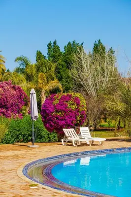 two chairs and an umbrella next to a swimming pool at Palm Nest in Marrakech