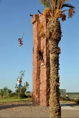 two people on a climbing wall next to a palm tree at Appartement Cosy avec Parc et Piscine pour femme in Marrakech
