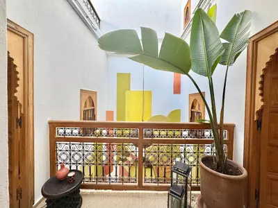 a plant in a pot next to a fence at Riad Fleur de Kasbah in Marrakech