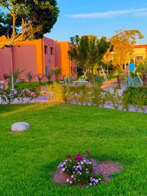 a green yard with flowers in the grass at Appartement Belle vue sur l'atlas in Marrakech