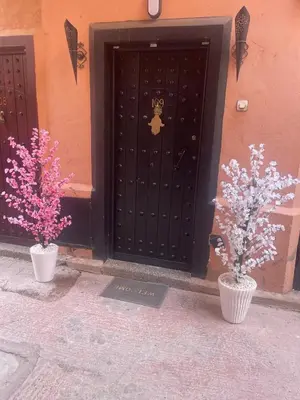 two plants in vases in front of a door at Riad Malika et Cristina in Marrakech