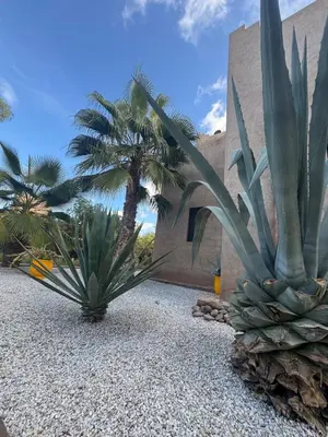 a couple of palm trees in front of a building at Splendide Villa avec piscine in Marrakech