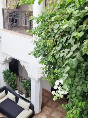 a couch sitting on a balcony next to a plant at Riad Dar El Mahja in Marrakech