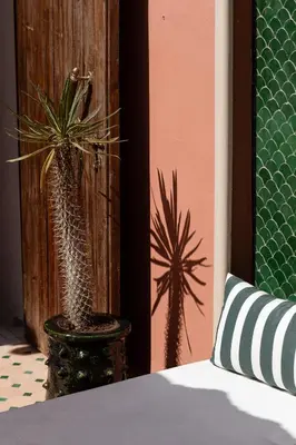 a bedroom with two potted plants next to a bed at Riad Olma in Marrakech
