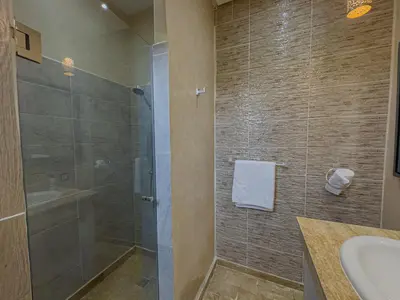 a bathroom with a shower and a sink at Riad Tonaroz Gold in Marrakech