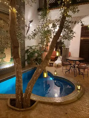 a pool with a tree in the middle of a room at Riad Alma Mouassine in Marrakech