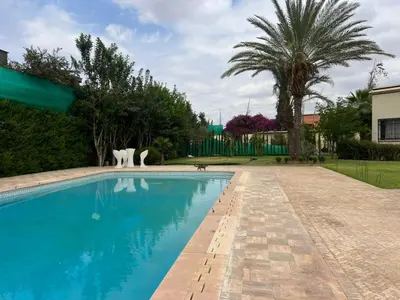 a swimming pool with a cat statue next to a house at ksar el bahja in Marrakech