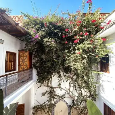 Momo House- Riad Momo