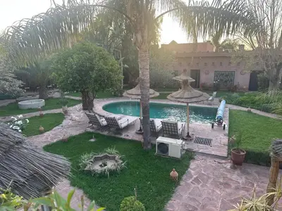 a backyard with a pool with chairs and a palm tree at Villa Sidi Oasis in Marrakech