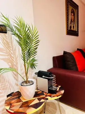 a living room with a table with a potted plant at Appartement Miramas 2 E2 in Marrakech