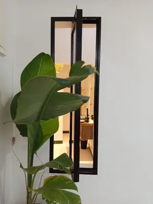 a mirror with a plant in front of it at Minka Marishan exclusif Riad in Royal destrict in Marrakech